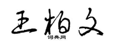曾庆福王柏文草书个性签名怎么写