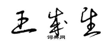 曾庆福王成望草书个性签名怎么写
