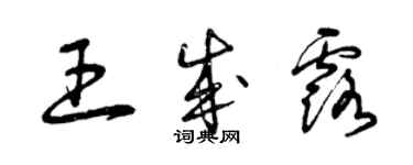 曾庆福王成露草书个性签名怎么写