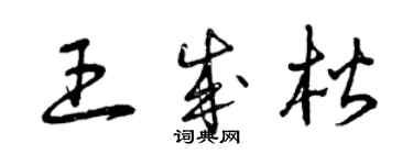 曾庆福王成楷草书个性签名怎么写