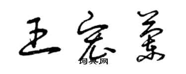 曾庆福王宏兰草书个性签名怎么写