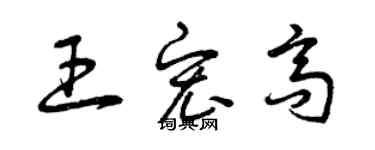 曾庆福王宏高草书个性签名怎么写
