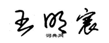 朱锡荣王明宸草书个性签名怎么写