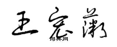 曾庆福王宏薇草书个性签名怎么写
