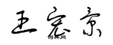 曾庆福王宏景草书个性签名怎么写
