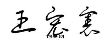 曾庆福王宏宪草书个性签名怎么写