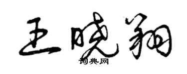 曾庆福王晓翔草书个性签名怎么写