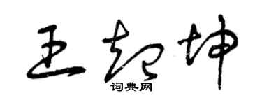 曾庆福王起坤草书个性签名怎么写