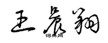 曾庆福王晨翔草书个性签名怎么写