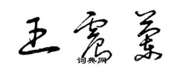 曾庆福王震兰草书个性签名怎么写