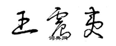 曾庆福王震夷草书个性签名怎么写