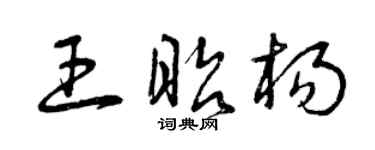 曾庆福王昭杨草书个性签名怎么写