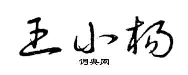 曾庆福王小杨草书个性签名怎么写