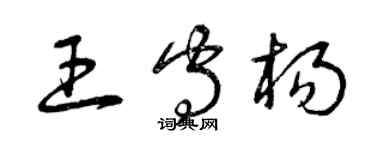 曾庆福王守杨草书个性签名怎么写