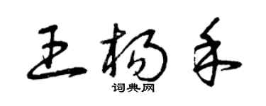 曾庆福王杨禾草书个性签名怎么写