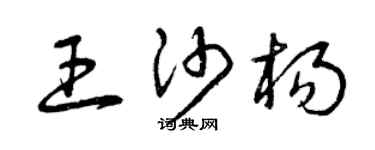 曾庆福王沙杨草书个性签名怎么写