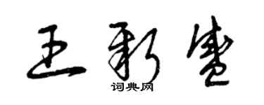 曾庆福王新盛草书个性签名怎么写