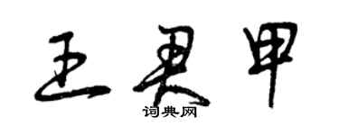 曾庆福王君甲草书个性签名怎么写