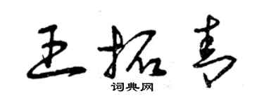 曾庆福王拓青草书个性签名怎么写