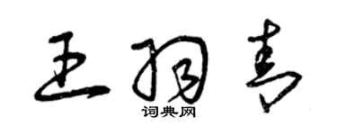 曾庆福王羽青草书个性签名怎么写