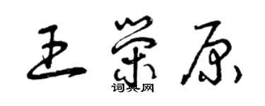 曾庆福王荣原草书个性签名怎么写