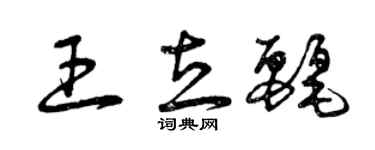 曾庆福王立丽草书个性签名怎么写