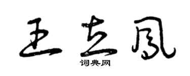曾庆福王立凤草书个性签名怎么写