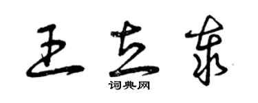 曾庆福王立泰草书个性签名怎么写