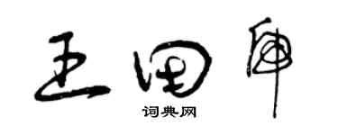 曾庆福王田虎草书个性签名怎么写