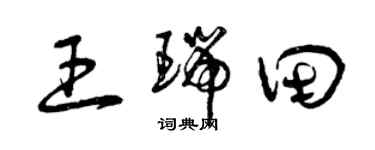 曾庆福王瑞田草书个性签名怎么写