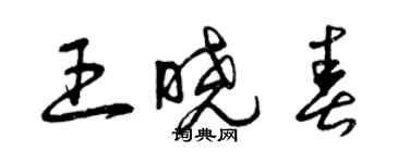 曾庆福王晓春草书个性签名怎么写