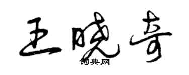 曾庆福王晓奇草书个性签名怎么写