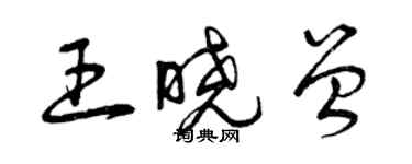 曾庆福王晓曾草书个性签名怎么写
