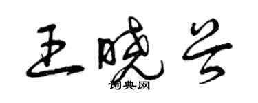 曾庆福王晓谷草书个性签名怎么写