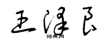 曾庆福王泽良草书个性签名怎么写