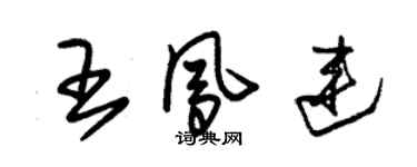 朱锡荣王凤连草书个性签名怎么写