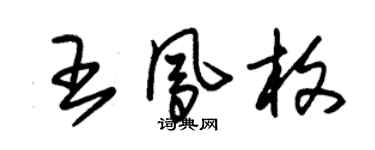 朱锡荣王凤枚草书个性签名怎么写