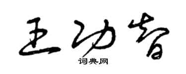 曾庆福王功智草书个性签名怎么写