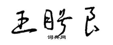 曾庆福王盼良草书个性签名怎么写