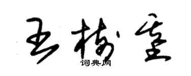 朱锡荣王树基草书个性签名怎么写