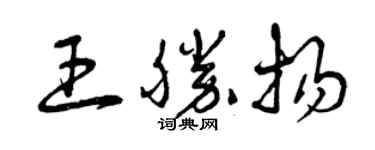 曾庆福王胜扬草书个性签名怎么写