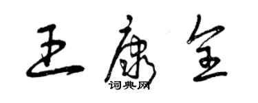 曾庆福王康全草书个性签名怎么写