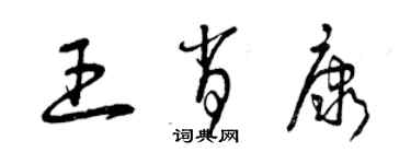 曾庆福王肖康草书个性签名怎么写