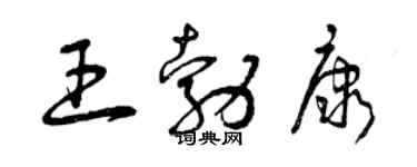 曾庆福王勃康草书个性签名怎么写