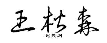 曾庆福王楷森草书个性签名怎么写