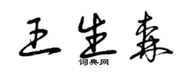 曾庆福王生森草书个性签名怎么写