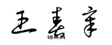 曾庆福王春章草书个性签名怎么写