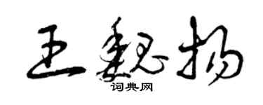 曾庆福王魏扬草书个性签名怎么写