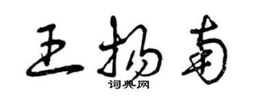 曾庆福王扬南草书个性签名怎么写