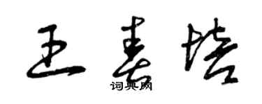 曾庆福王春培草书个性签名怎么写